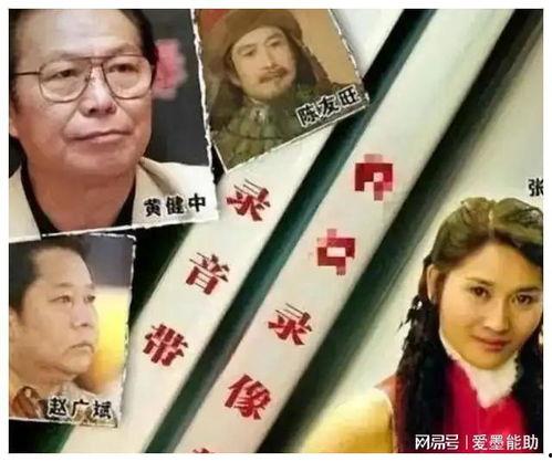 娱乐圈会长爆料,揭秘明星背后的惊人真相